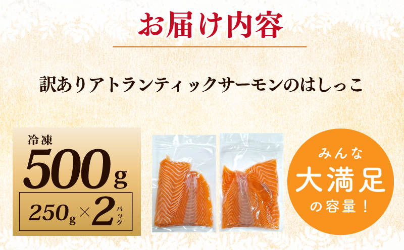 サーモン はしっこ 500g 訳あり 250g×2【アトランティックサーモン 北国からの贈り物 世界No.1サーモンメーカー 刺身 海鮮丼 サラダ 総量 鮭 さけ シャケ しゃけ sake 人気 オススメ 小分け 期間限定 冷凍 家計応援 消費応援 物価高応援】 G1237
