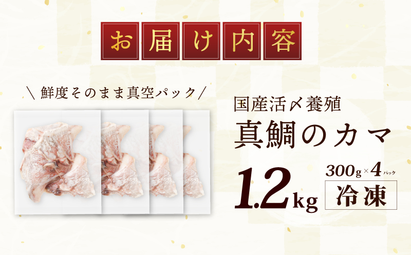 国産 活〆養殖 真鯛のカマ 合計1.2kg（300g×4パック） 099H2651