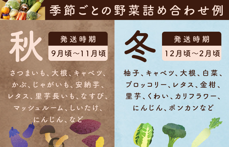 泉州野菜 定期便 全3回 15種類以上 詰め合わせ 国産 新鮮 冷蔵【毎月配送コース】 099Z114