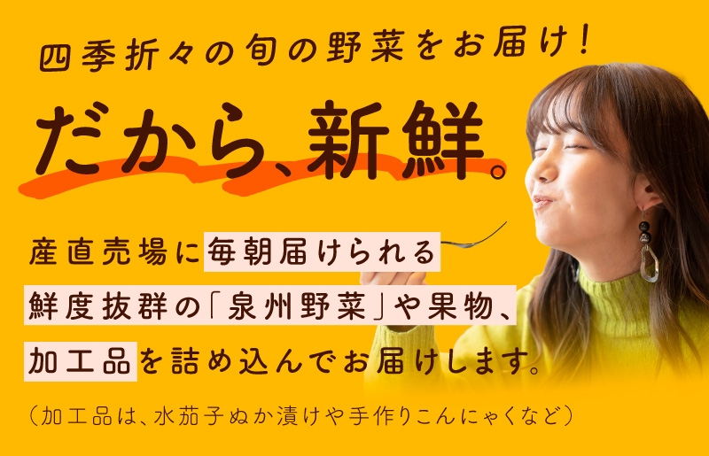 10種類の新鮮野菜 定期便 全3回 詰め合わせ 国産 冷蔵発送【毎月配送コース】 099Z184