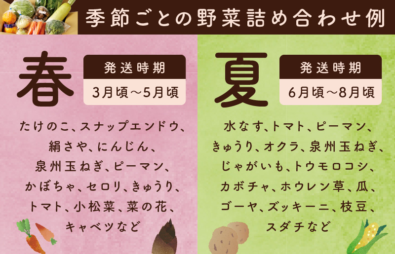 10種類の新鮮野菜 定期便 全3回 詰め合わせ 国産 冷蔵発送【毎月配送コース】 099Z184