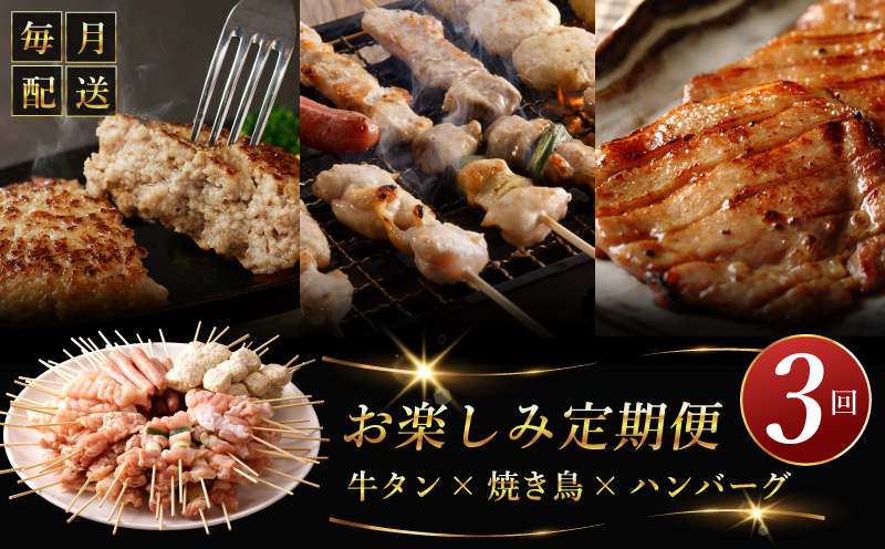 桜文 お楽しみ 定期便 全3回（焼き鳥／牛タン／黒毛和牛入り BIGハンバーグ）【毎月配送コース】 G1060