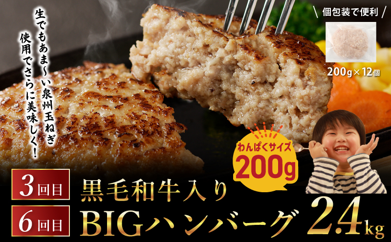 桜文 お楽しみ 定期便 全6回（焼き鳥／牛タン／黒毛和牛入り BIGハンバーグ）【毎月配送コース】 G1061