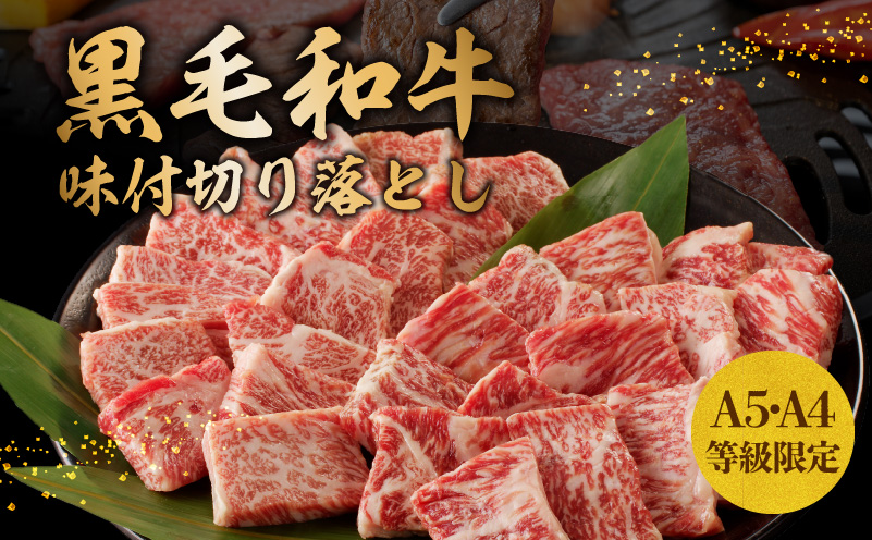 【特別寄附金額】黒毛和牛A5/A4等級 切り落とし 味付き 焼肉セット 600g（サーロイン 300g／リブロース 300g） ギフト プレゼント に最適 G1428