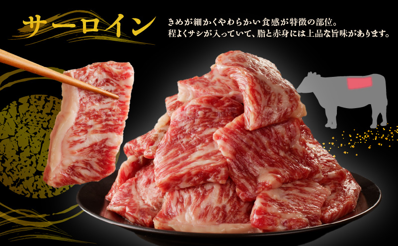 【特別寄附金額】黒毛和牛A5/A4等級 切り落とし 味付き 焼肉セット 600g（サーロイン 300g／リブロース 300g） ギフト プレゼント に最適 G1428