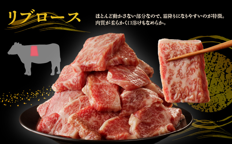 【特別寄附金額】黒毛和牛A5/A4等級 切り落とし 味付き 焼肉セット 600g（サーロイン 300g／リブロース 300g） ギフト プレゼント に最適 G1428