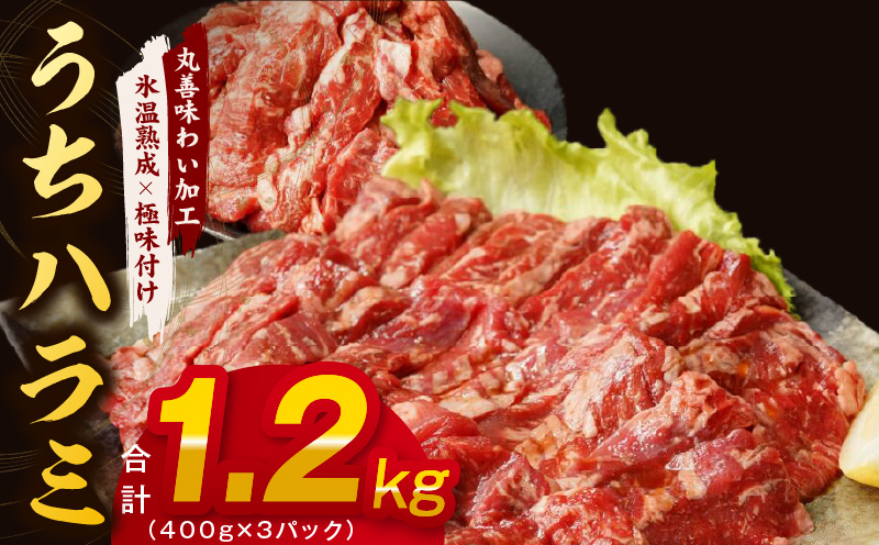 【氷温熟成×特製ダレ】希少部位 牛肉 うちハラミ 1.2kg（400g×3） mrz0029