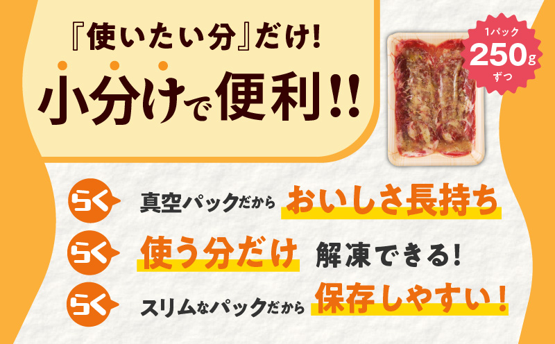 ねぎ塩 牛たん（成型）合計 1kg 小分け 250g×4【牛タン 牛肉 焼肉用 薄切り 訳あり サイズ不揃い】 G1177