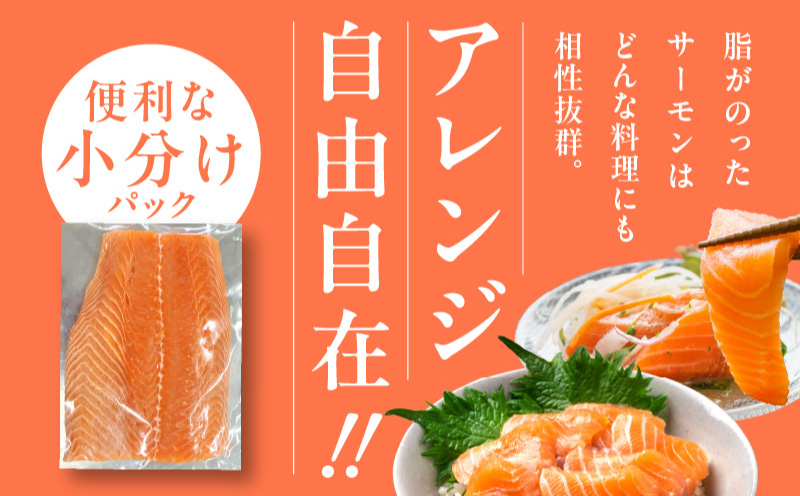 【北国からの贈り物】アトランティック サーモン 200g お試し 小分けパック 刺身 海鮮丼 カルパッチョ ムニエル G1066