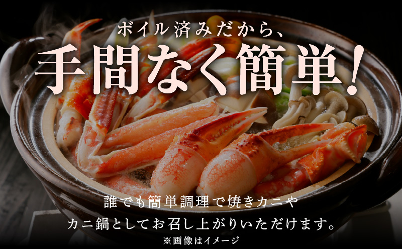 【北国からの贈り物】ズワイガニ足 1kg前後  約2-3人前 蟹酢付き 昆布塩加工 ボイル かに カニ ズワイガニ 脚 G1072