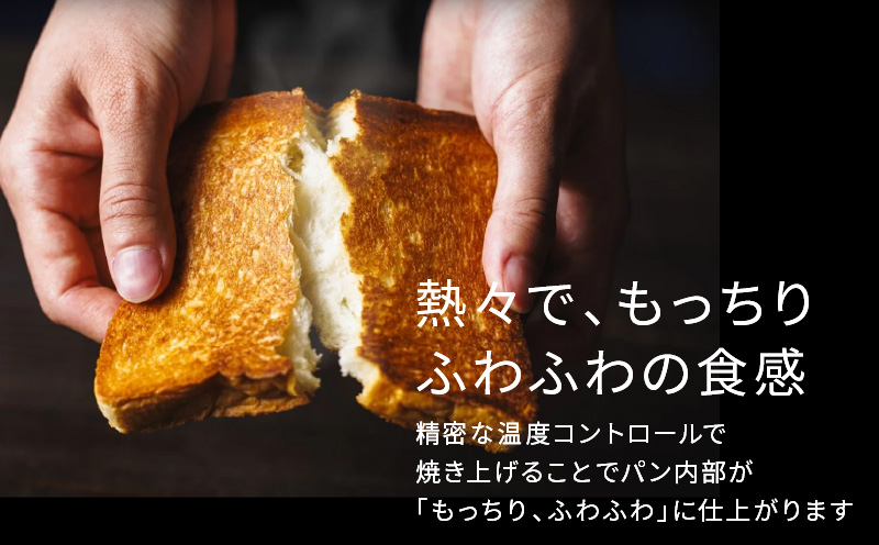 abien BREAD GRILL（ブラック） アビエン ブレッドグリル トースター【国内製造 日本製 取扱説明書付き 1年間保証 朝食 こだわりの焼き方 外カリっと 内ふんわり キッチン家電 ギフト プレゼント 誕生日 結婚祝い 内祝い 家庭用】 G1048