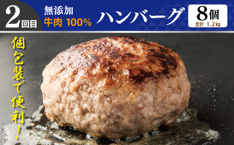 店主セレクト 食べ比べ 定期便 全4回（ハンバーグ／しらす／スンドゥブチゲ／サムギョプサル）【毎月配送コース】 G1243