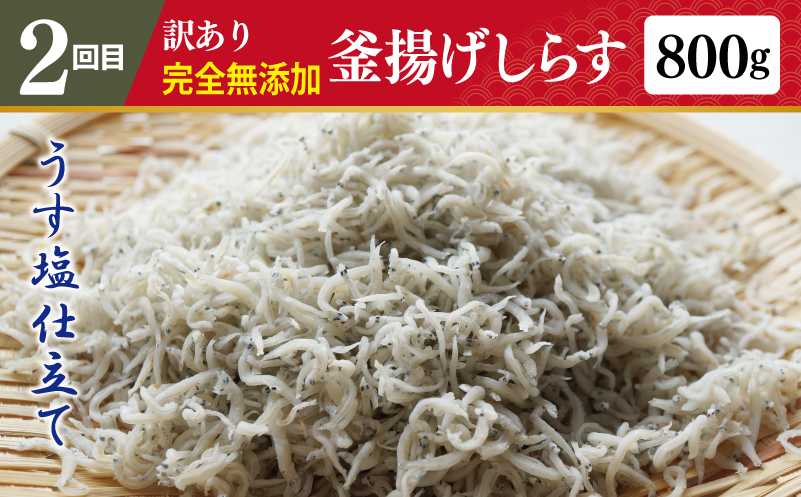 店主セレクト 食べ比べ 定期便 全4回（ハンバーグ／しらす／スンドゥブチゲ／干し芋）【毎月配送コース】 G1244