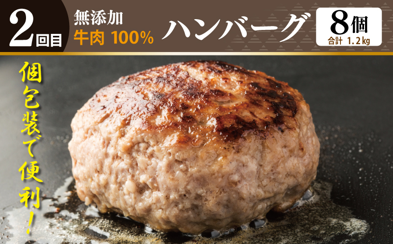 店主セレクト ハンバーグ／しらす 食べ比べ 定期便 全3回【毎月配送コース】 G1245