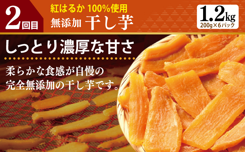 店主セレクト 食べ比べ 定期便 全5回（ハンバーグ／しらす／スンドゥブチゲ／サムギョプサル／干し芋）【毎月配送コース】 G1246