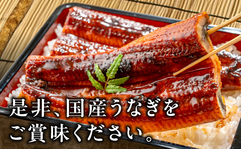 【数量限定】国産うなぎ 2尾 320g以上 大サイズ【えびす鰻 うなぎ ウナギ 国産 泉佐野産 1尾160g以上 蒲焼き かばやき 冷凍 うな重 ひつまぶし 惣菜 先行予約】 G1258