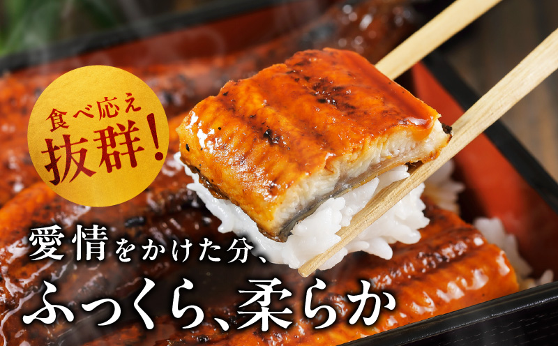 【数量限定】国産うなぎ 3尾 480g以上 大サイズ【えびす鰻 うなぎ ウナギ 国産 泉佐野産 1尾160g以上 蒲焼き かばやき 冷凍 うな重 ひつまぶし 惣菜 先行予約】 G1259