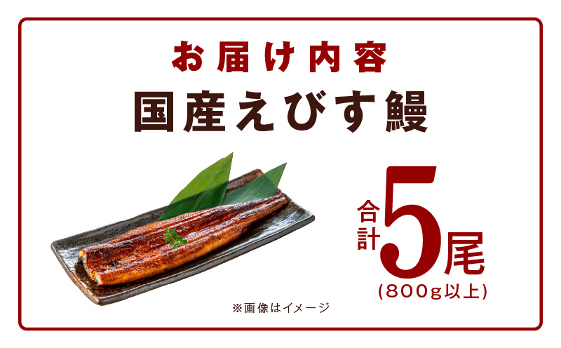 【数量限定】国産うなぎ 5尾 800g以上 大サイズ【えびす鰻 うなぎ ウナギ 国産 泉佐野産 1尾160g以上 蒲焼き かばやき 冷凍 うな重 ひつまぶし 惣菜 先行予約】 G1260