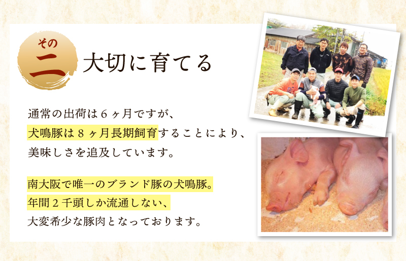 【泉佐野ブランド豚】犬鳴ポーク 6種 食べ比べセット（切り落とし／うで／ロース／豚丼／味噌鍋／餃子） 020C358