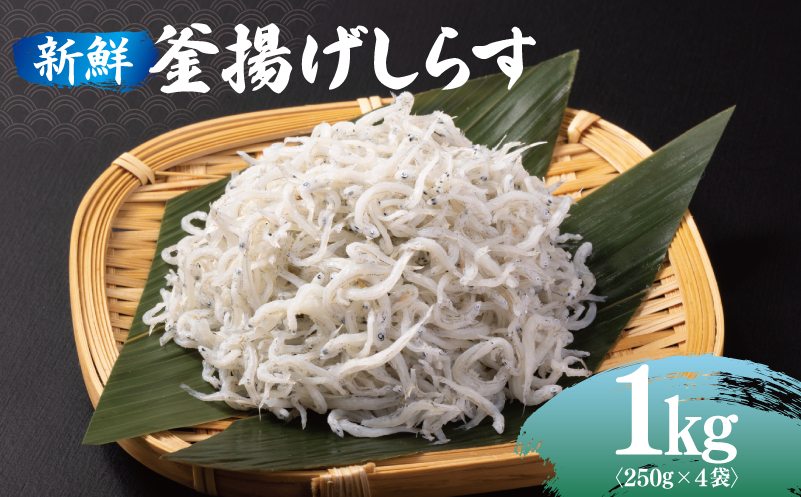 新鮮 釜揚げしらす 合計 1kg 小分け 250g×4P 099H3023