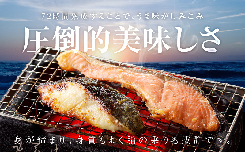 厳選 西京漬けセット 銀鱈／銀鮭 合計 12切れ 切り落とし 訳あり サイズ不揃い 099H3131