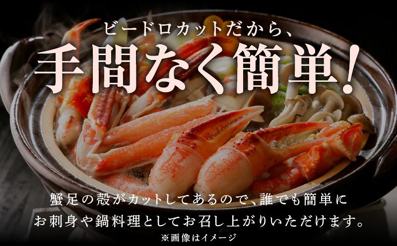 【無地熨斗】本ズワイ 1kg前後 3-4L ビードロカット 蟹酢付 昆布塩加工 ポーション しゃぶしゃぶ 刺身 かに カニ 脚 本ズワイ蟹 本ずわい蟹 海鮮 北国からの贈り物 G1075-1