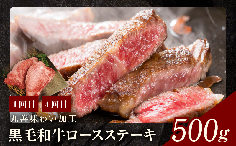 黒毛和牛 定期便 全6回 （ステーキ／すき焼き・しゃぶしゃぶ／焼肉） 12万円コース 丸善味わい加工【毎月配送コース】 099Z240