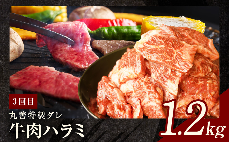 焼肉定期便 総量3.4kg（肩ロース／牛タン／牛ハラミ）全3回 丸善味わい加工【毎月発送コース】 099Z241