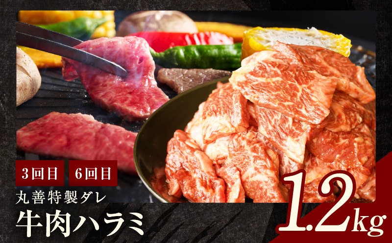 焼肉定期便 総量6.8kg（肩ロース／牛タン／牛ハラミ）全6回 丸善味わい加工【毎月発送コース】 099Z242