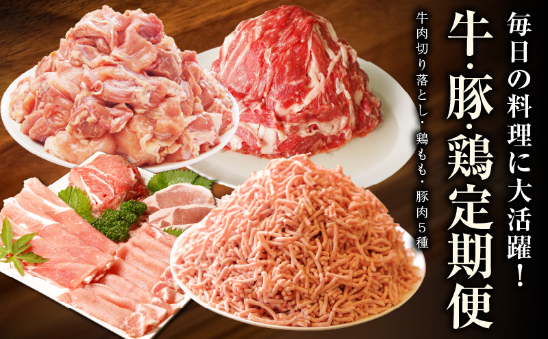 牛・豚・鶏 定期便 7種 総量5.7kg（牛肉切り落とし／カット済み 鶏もも／豚肉5種 食べ比べ）全3回 丸善味わい加工【毎月発送コース】 099Z243