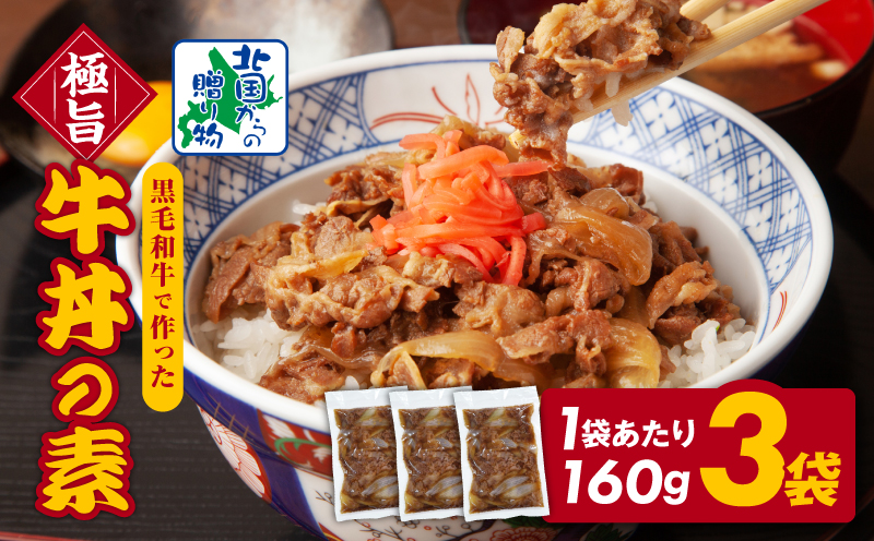 美味しくなってリニューアル！【黒毛和牛】で作った極旨牛丼の素（160g×3袋） 時短 簡単便利 レンチン 夜食 つまみにもオススメ G1334