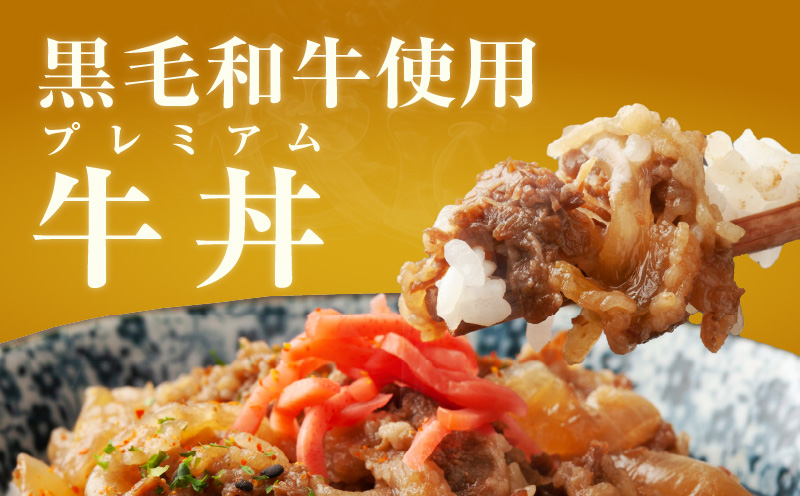 【食べ比べ】黒毛和牛で作った極旨牛丼の素（160g×3袋）＆人気のアトランティックサーモン（200g×2袋） G1337