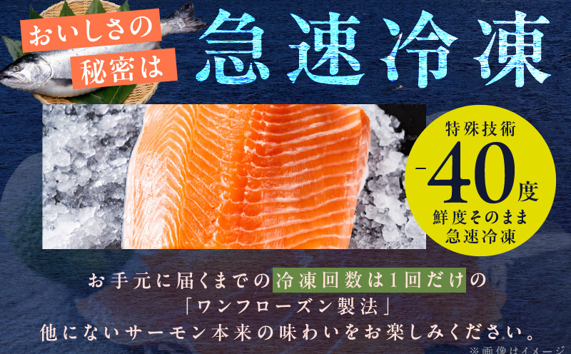 【食べ比べ】黒毛和牛で作った極旨牛丼の素（160g×3袋）＆人気のアトランティックサーモン（200g×2袋） G1337