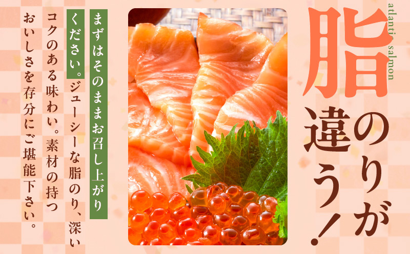 【食べ比べ】黒毛和牛で作った極旨牛丼の素（160g×3袋）＆人気のアトランティックサーモン（200g×2袋） G1337