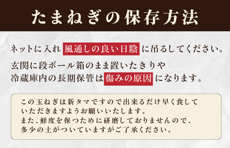 泉州たまねぎ 5kg 訳あり 玉ねぎ 射手矢農園 G1497
