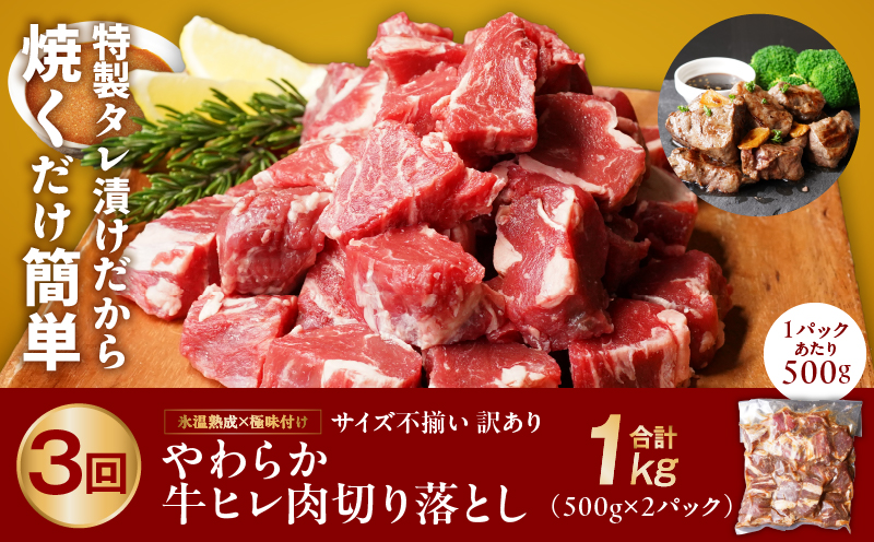 丸善堪能定期便 総量6.4kg 全3回（牛ヒレ肉／国産鶏もも肉／国産スペアリブ）丸善味わい加工【毎月配送コース】 099Z237