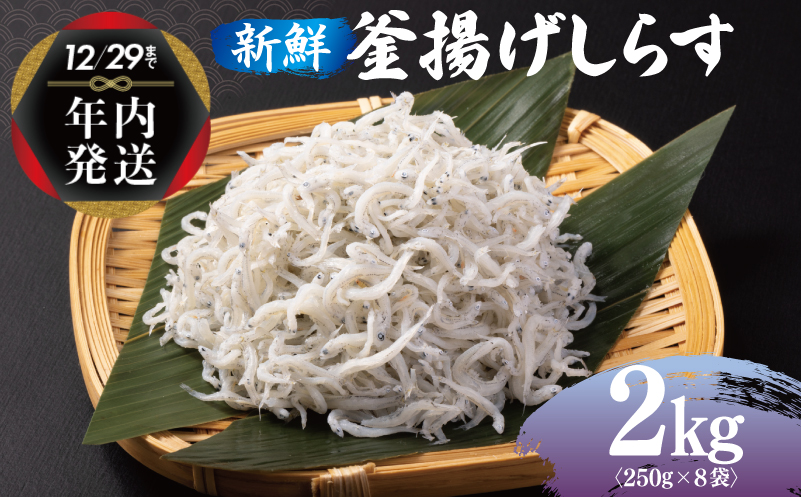 【年内発送】 新鮮 釜揚げしらす 合計 2kg 小分け 250g×8P 020C361y