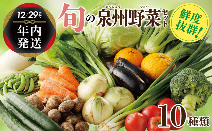 【年内発送】 新鮮 野菜セット 詰め合わせ 10種類 国産 旬 お試し おまかせ お楽しみ 099H2491y