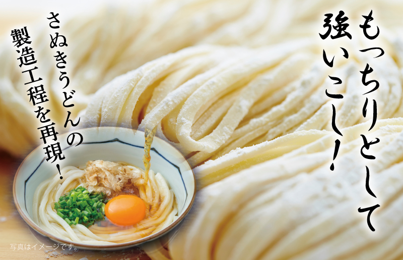 【年内発送】 麺名人 さぬきうどん 48食 個包装 099H2510y