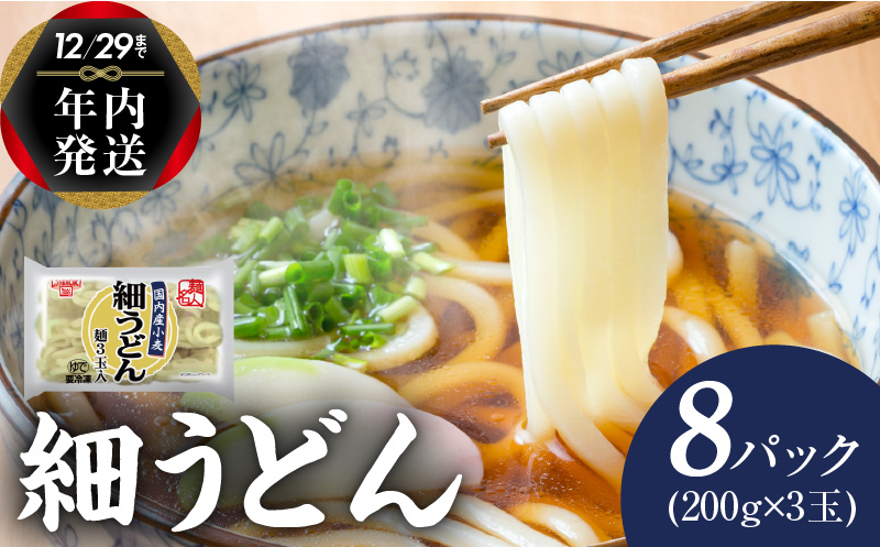 【年内発送】 麺名人 国産小麦 細うどん 24食 個包装 099H2512y