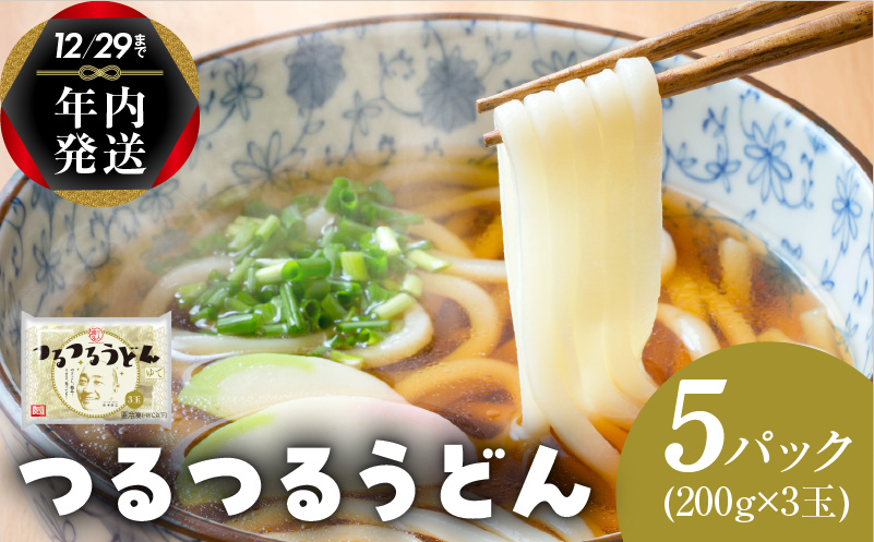 【年内発送】 麺名人 つるつるうどん 15食 個包装 099H2513y