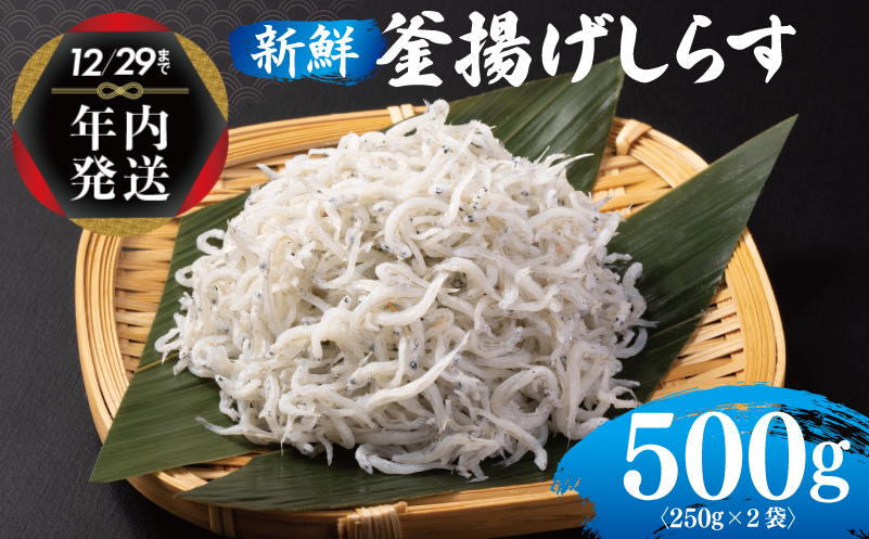 【年内発送】 新鮮 釜揚げしらす 合計 500g 小分け 250g×2P 010B1505y