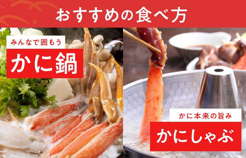 【年内発送】殻剥き不要 ズワイガニ 棒肉 ポーション 合計 500g（10本以上）特大サイズ 加熱用 099H2280y