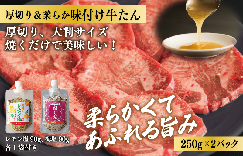 【年内発送】焼肉問屋いちよし 店主厳選 人気焼肉 福袋（牛たん/ハラミ/中落カルビ） within2024 G1368y