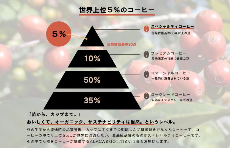 スペシャルティコーヒー焙煎豆 中浅煎り 300g G1401