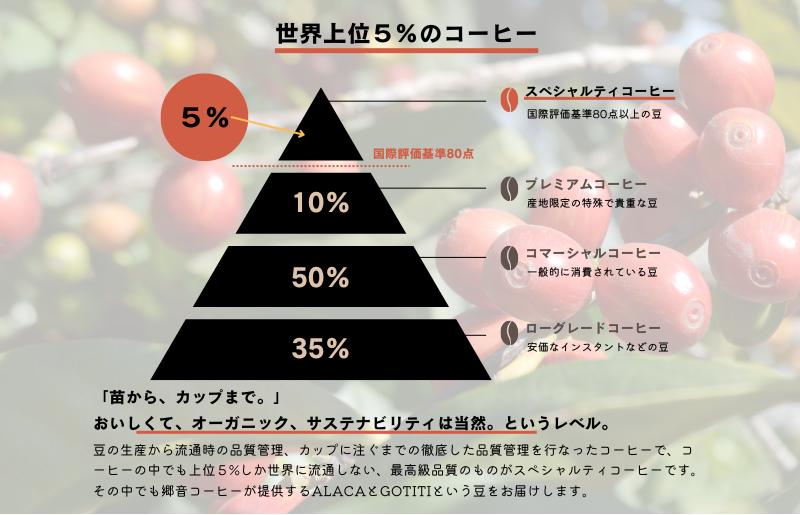 スペシャルティコーヒー焙煎豆 浅煎り 300g 定期便 全12回 12か月【毎月配送コース】 G1404