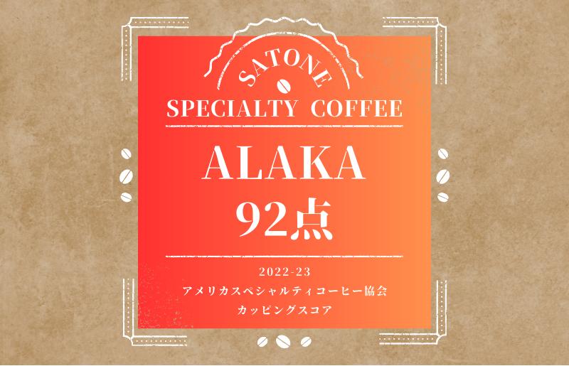 スペシャルティコーヒー焙煎豆 中浅煎り 300g 定期便 全12回 12か月【毎月配送コース】 G1405