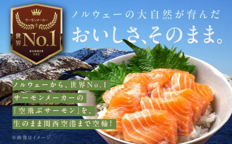 訳あり 計1.4kg！ アトランティックサーモン 200g×2パック＆訳あり 鮭ハラス 200g×5P 小分け 鮭 昆布塩加工 はしっこ サーモン 大トロ 腹ヒレ肉 北国からの贈り物 G1443