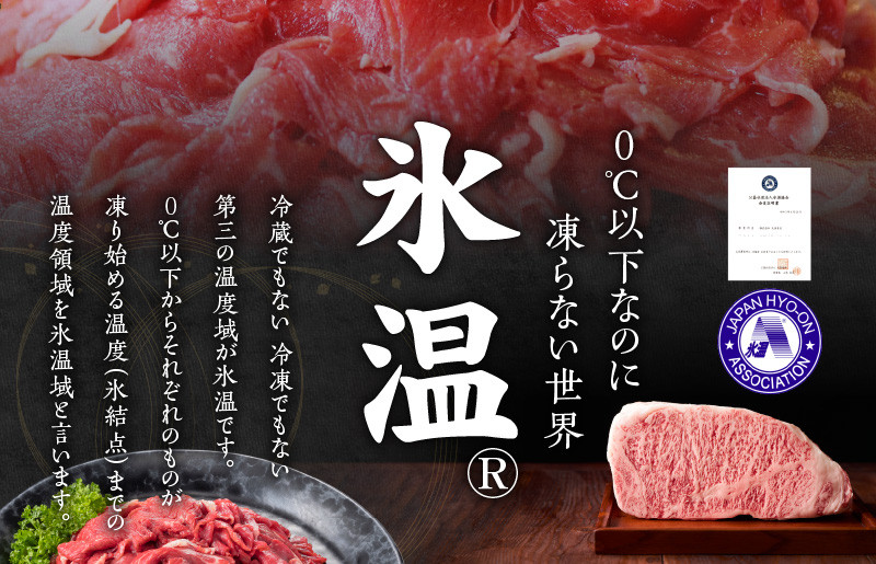 【年内発送】国産 牛肉 切り落とし 1.2kg（300g×4）丸善味わい加工【氷温熟成×極味付け】 within2024 mrz0006y