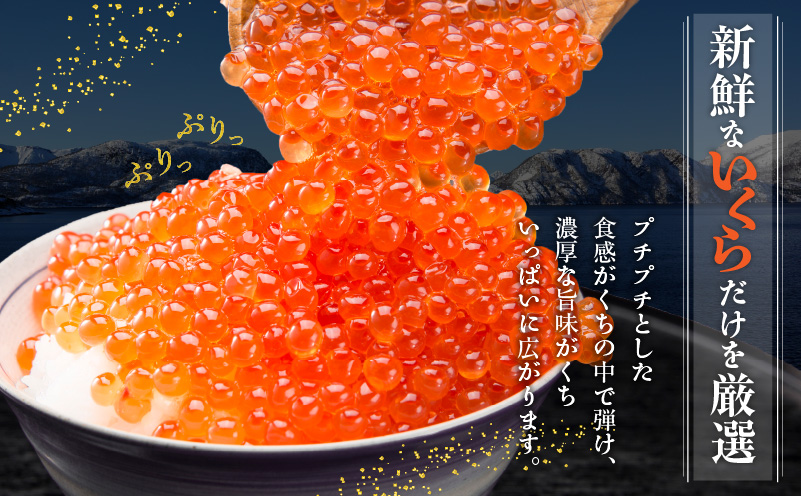 本ズワイしゃぶ 500g 蟹酢付 昆布塩加工＆いくら醤油漬け80g×2P 海鮮食べ比べセット ズワイガニ ズワイ蟹 G1483